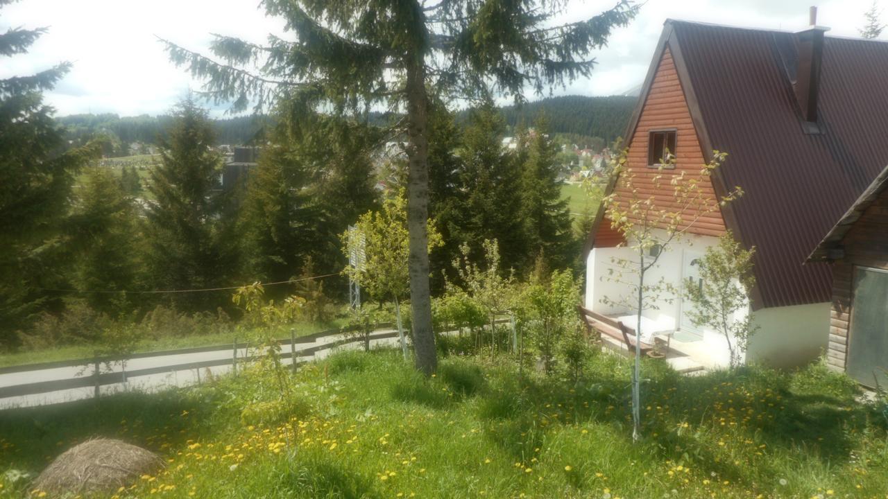 Apartment Andjela Zabljak  Exterior photo