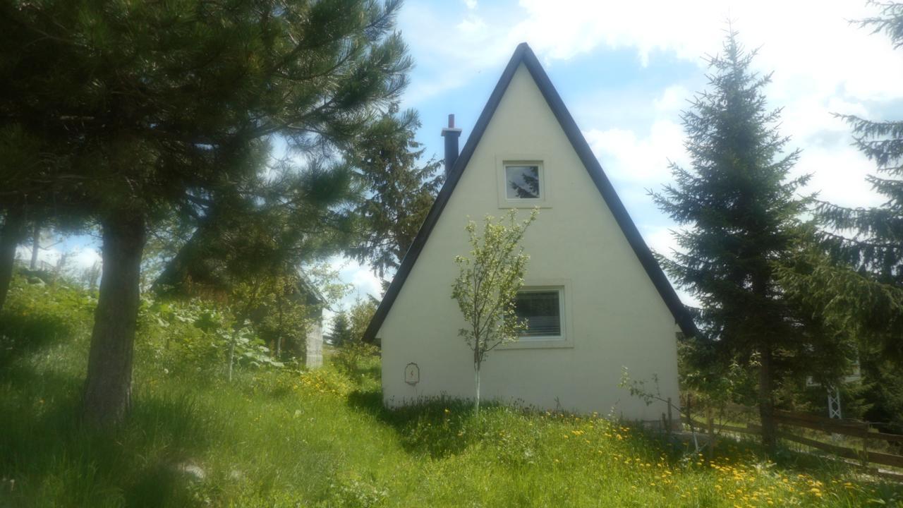 Apartment Andjela Zabljak  Exterior photo